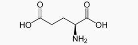Axit glutamic | C5H9O4N (Là gì, TCHH, Ứng dụng, Mạnh hay yếu, Mindmap)