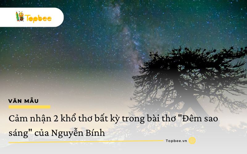 Cảm nhận 2 khổ thơ bất kỳ trong bài thơ "Đêm sao sáng" của Nguyễn Bính