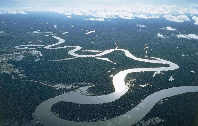 Cảm nhận của em về tình yêu của tác giả đối với dòng sông Mê Kông, với quê hương đất nước thể hiện trong bài “Cửu Long Giang ta ơi” - ảnh 1