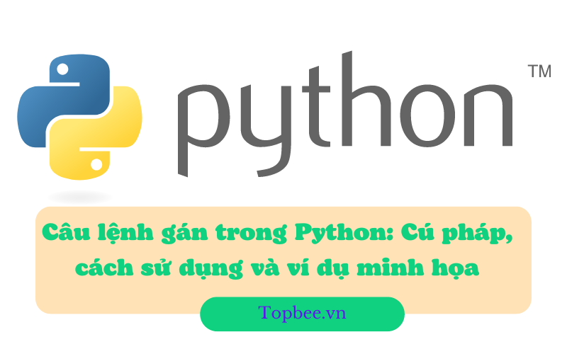 Câu lệnh gán trong Python: Cú pháp, cách sử dụng và ví dụ minh họa