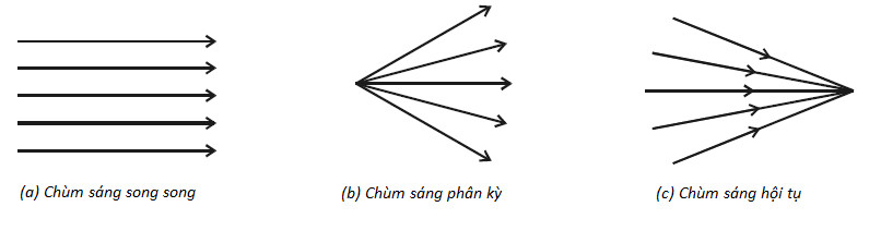 https://api.topbee.vn/storage/uploads/images/chon-cau-tra-loi-dung-a-chum-tia-phan-ky-la-chum-sang-phat-ra-tu-nguon-diem-trong-do-cac-tia-giao.jpg