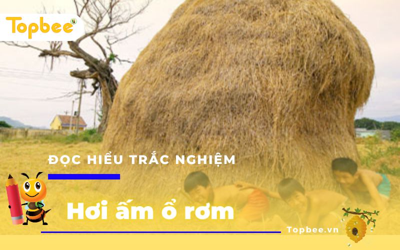 Đọc hiểu trắc nghiệm Hơi ấm ổ rơm - Đề số 2