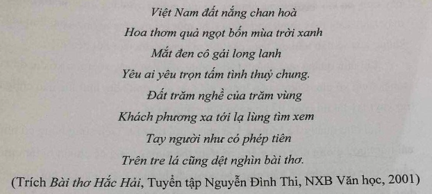 Đọc hiểu Việt Nam đất nắng chan hoà (Bài thơ Hắc Hải)