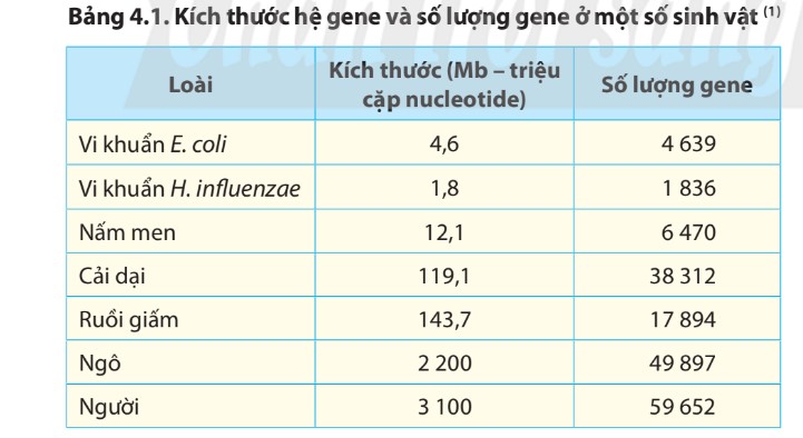 Hệ gene là gì? Những thành tựu và giải mã hệ gene người? - ảnh 1