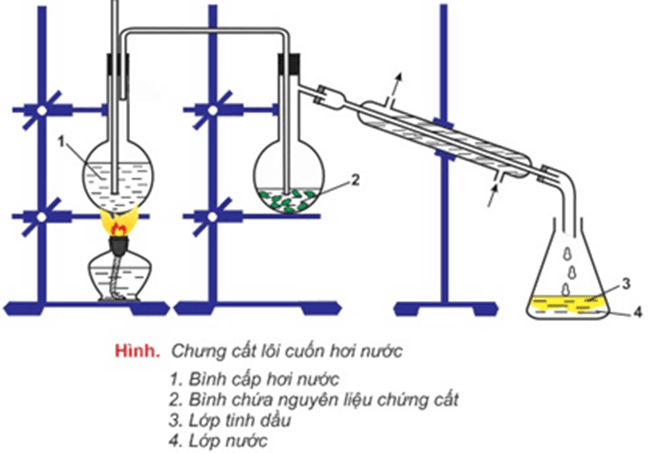 Lý thuyết Hóa học 11 Kết nối tri thức Bài 11: Phương pháp tách biệt và tinh chế hợp chất hữu cơ