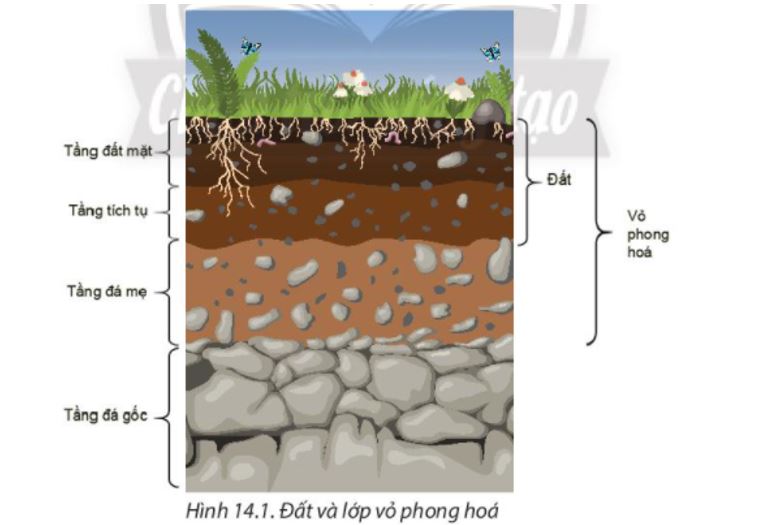 Phân biệt lớp vỏ phong hóa và đất