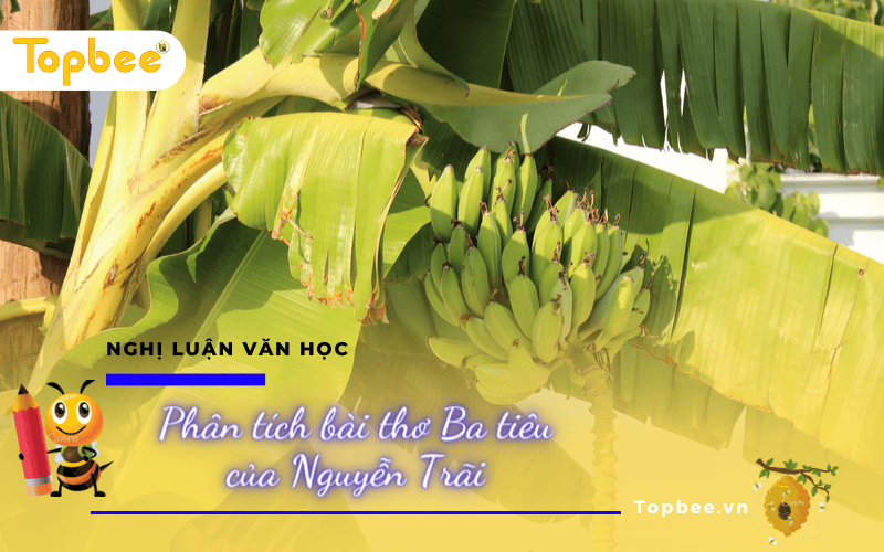 Phân tích bài thơ Ba tiêu của Nguyễn Trãi - ảnh 1