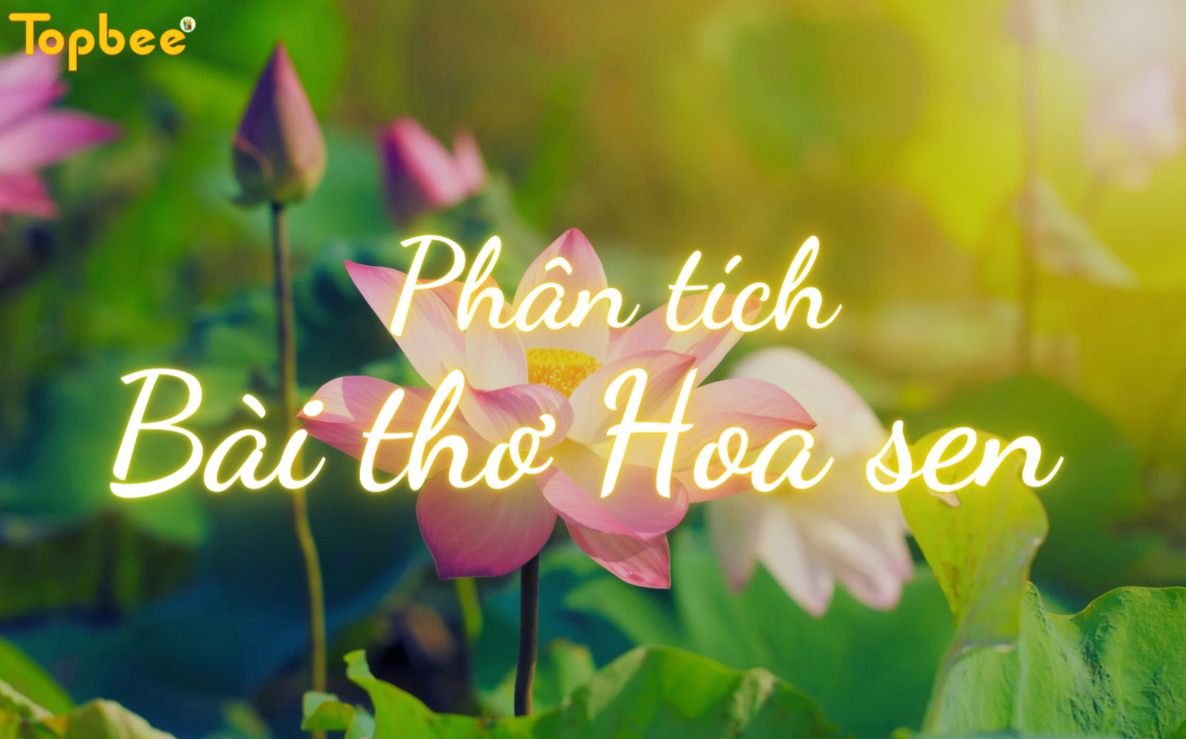 Phân tích bài thơ Hoa sen của Võ Quảng