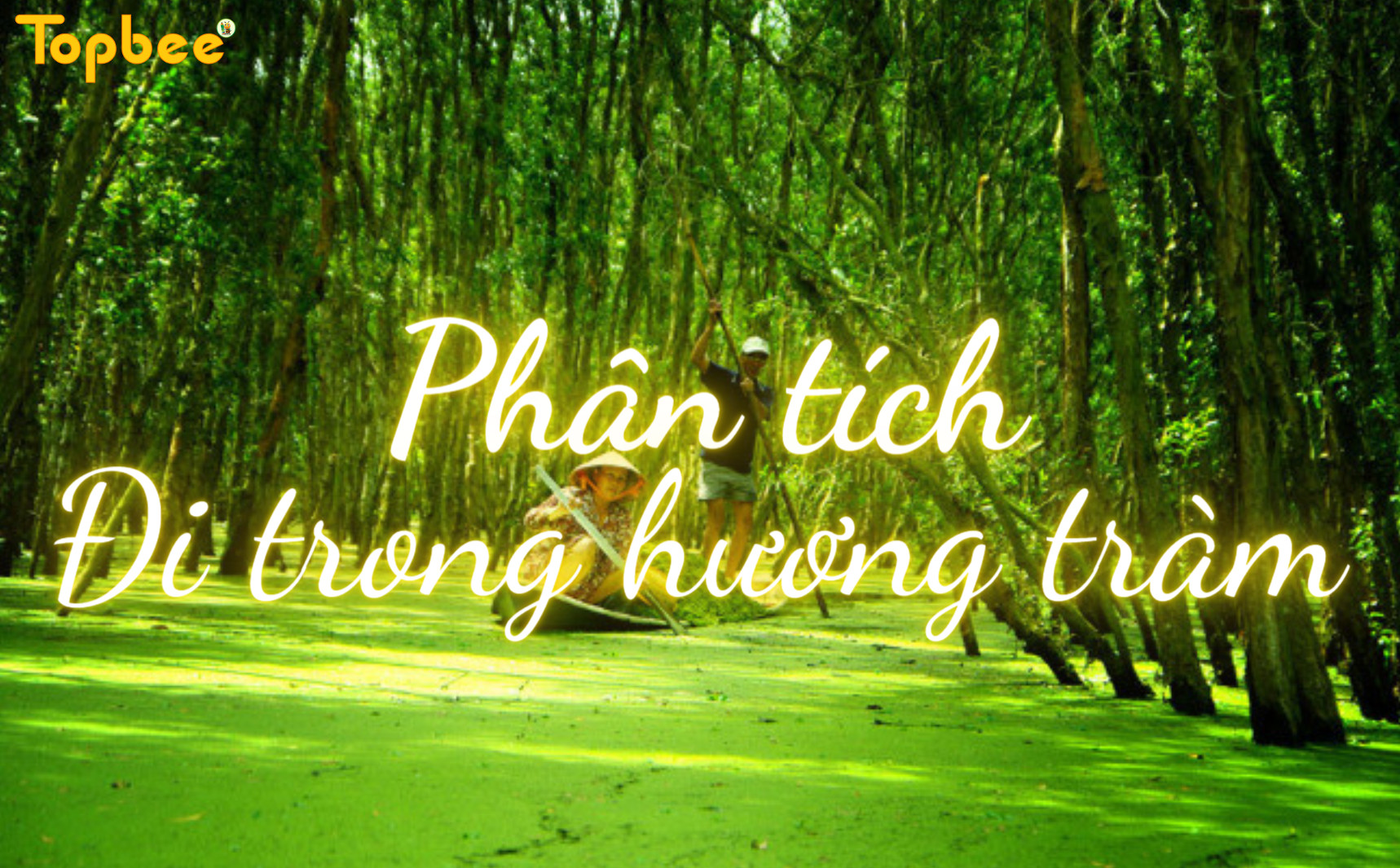 Phân tích Đi trong hương tràm (ngắn gọn)