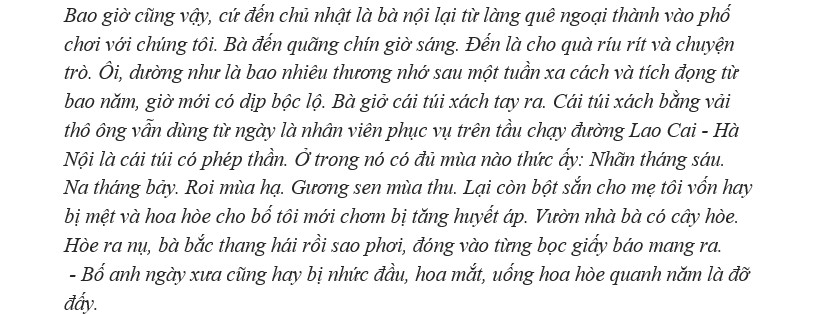 Phân tích nhân vật người bà trong đoạn trích Giấc mơ của bà nội - ảnh 1