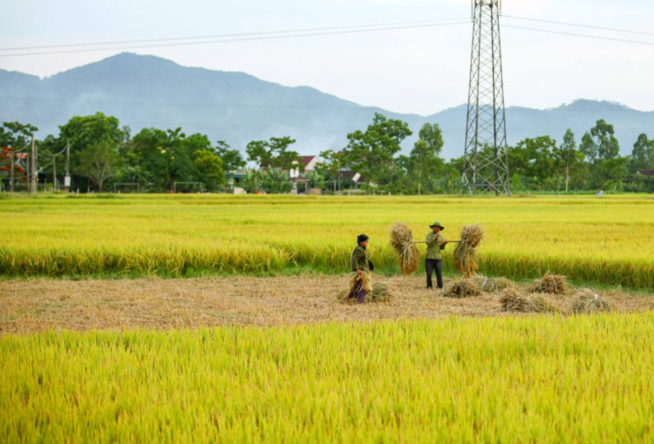 Phân tích về bài thơ Chốn quê của Nguyễn Khuyến