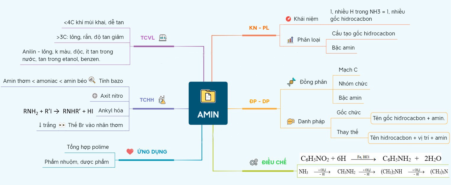 Sơ đồ tư duy amin