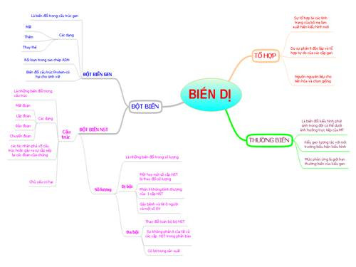 Sơ đồ tư duy biến dị