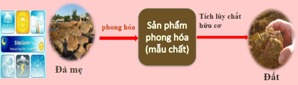 Sơ đồ tư duy các nhân tố hình thành đất