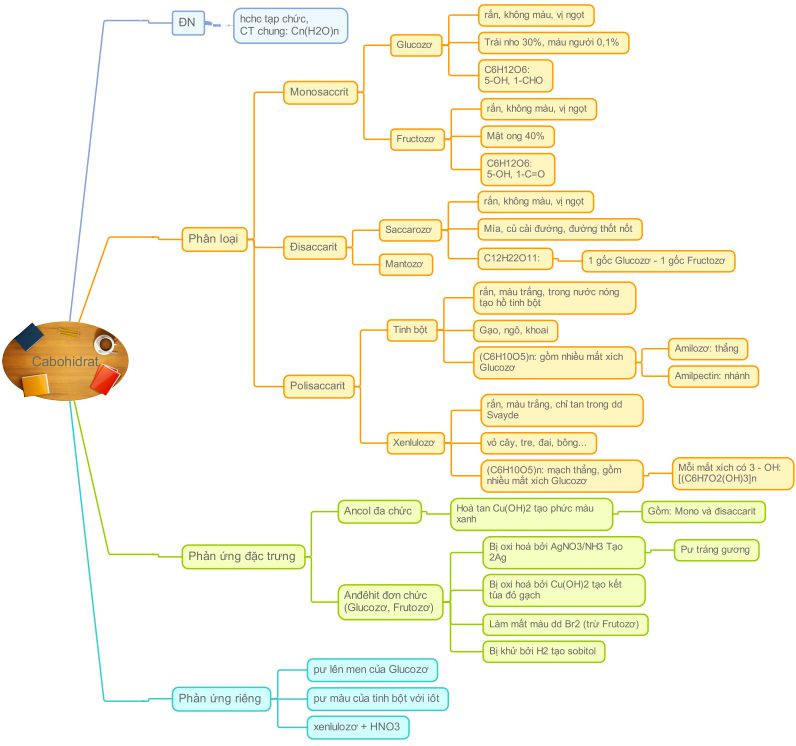 Sơ đồ tư duy cacbohidrat