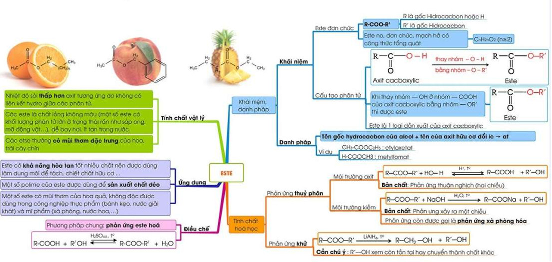 Sơ đồ tư duy este