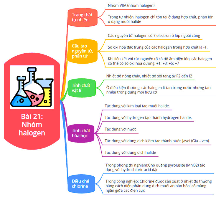 Sơ đồ tư duy halogen