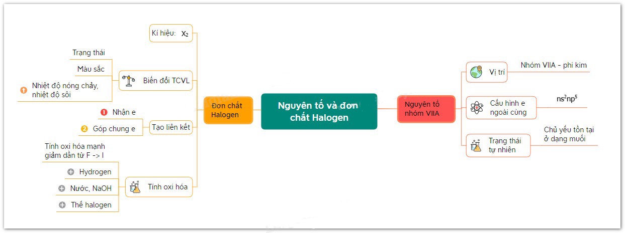 Sơ đồ tư duy halogen