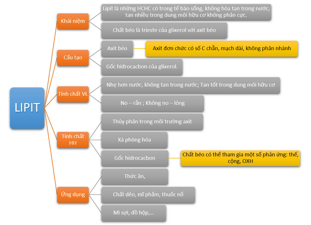 Sơ đồ tư duy lipit