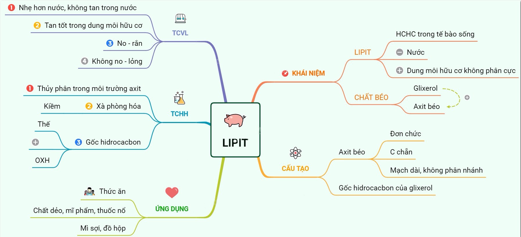 Sơ đồ tư duy lipit