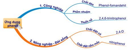 Sơ đồ tư duy phenol