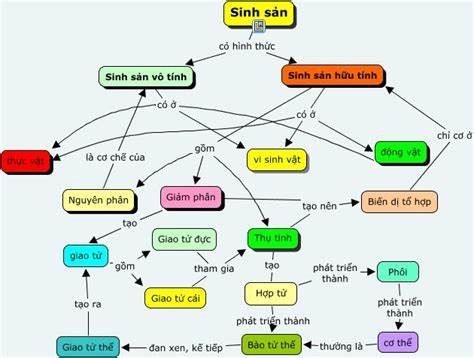 Sơ đồ tư duy sinh sản ở thực vật