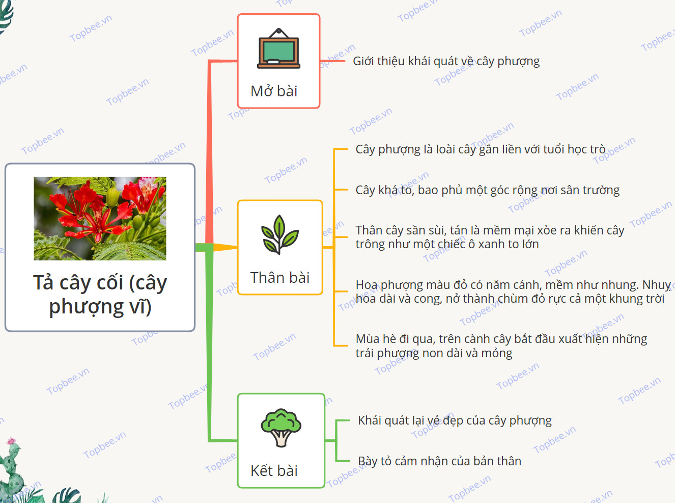 Sơ đồ tư duy Tả cây cối (cây phượng vĩ)