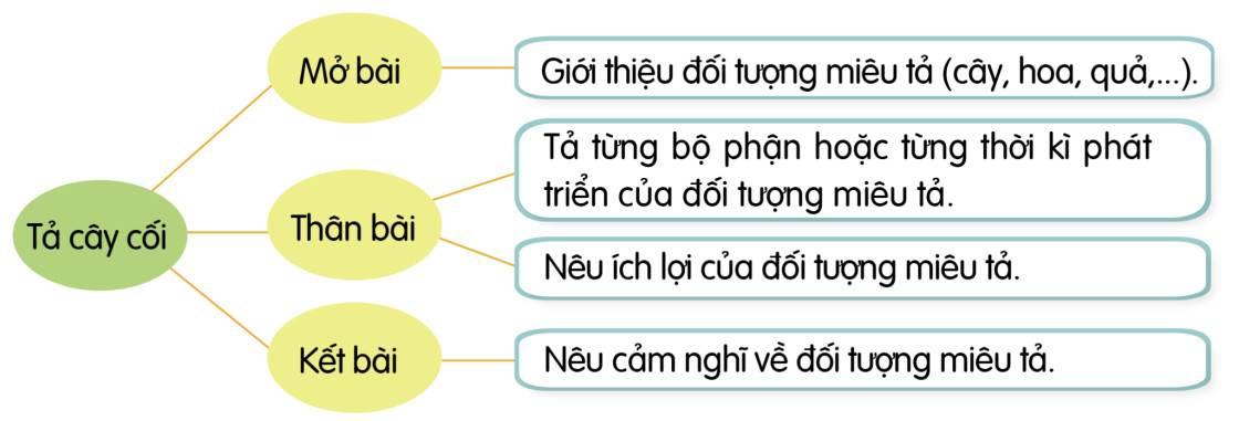 Sơ đồ tư duy Tả cây cối