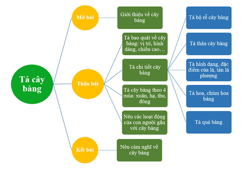 Sơ đồ tư duy Tả cây cối