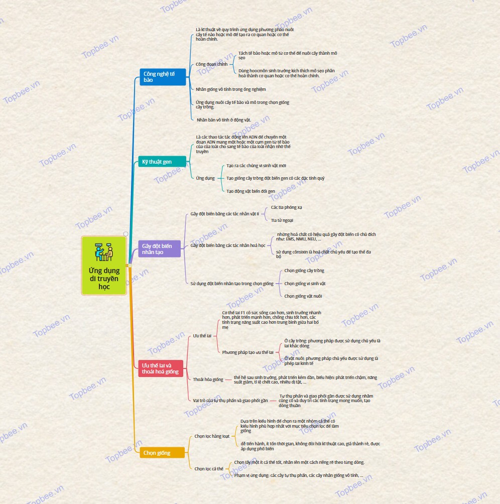 Sơ đồ tư duy ứng dụng di truyền học
